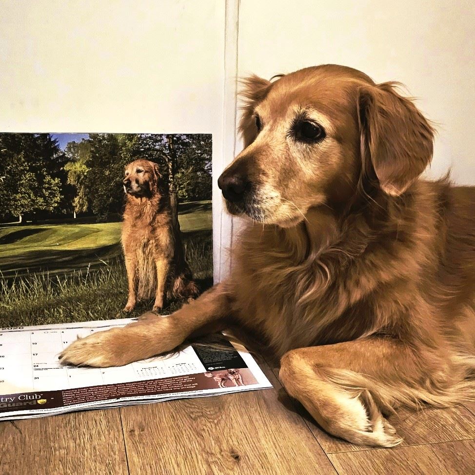 Photo - March 2026 - Stella Golf 2